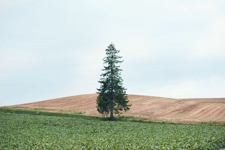 大自然が私を解きほぐす 週末デトックスジャーナル