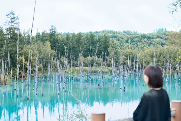 大自然が私を解きほぐす 週末デトックスジャーナル