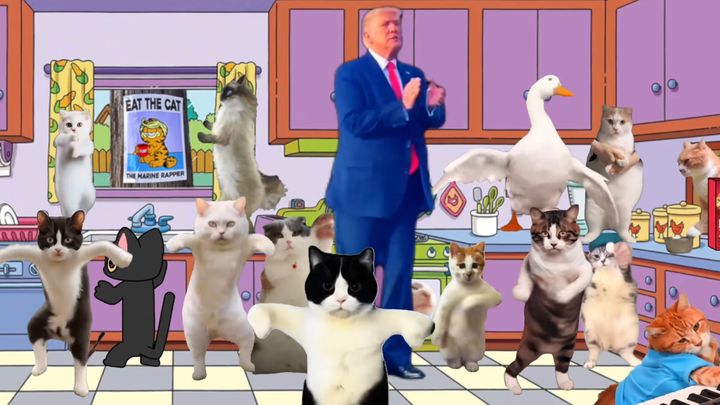 米国の新大統領と踊る猫たち、ダイバーシティのソウルを表現