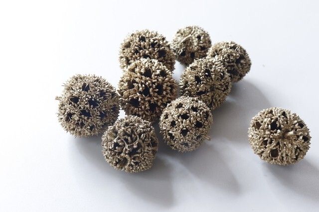 ダイソーのクリスマス用ナチュラルパーツ（フウの実）