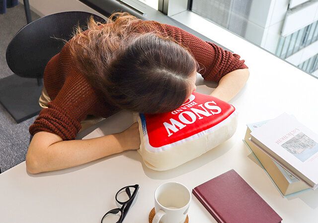 6Pチーズ クッション付録レビューお昼寝