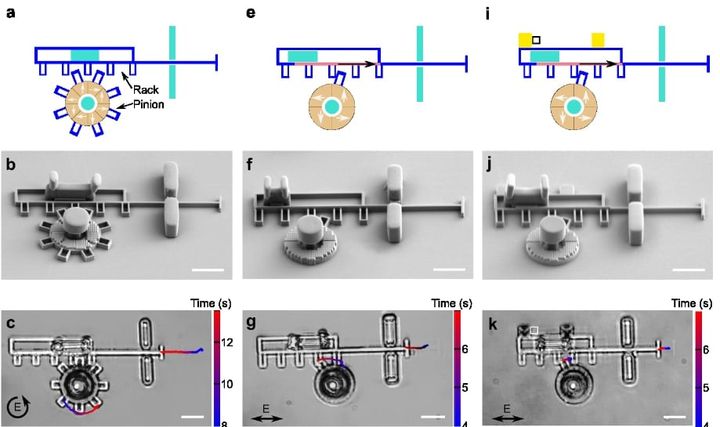 実験では歯車に別の装置を取り付け機械的な仕事が取り出せることが示されました
