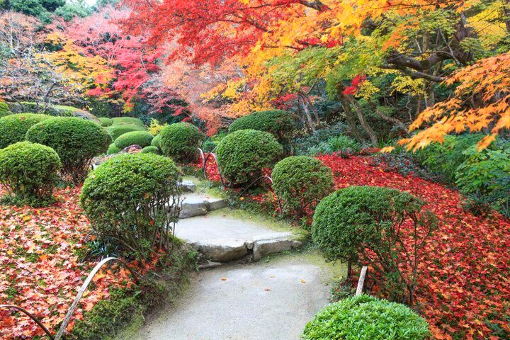 【京都・一乗寺の紅葉さんぽ】洛北の名庭をめぐって、心に染み入るしっとり静かな秋を♪