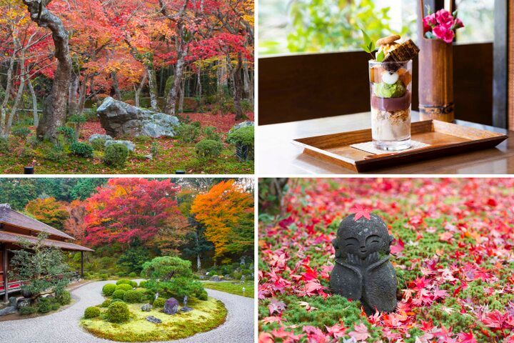 【京都・一乗寺の紅葉さんぽ】洛北の名庭をめぐって、心に染み入るしっとり静かな秋を♪