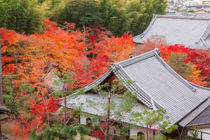 【京都・一乗寺の紅葉さんぽ】洛北の名庭をめぐって、心に染み入るしっとり静かな秋を♪