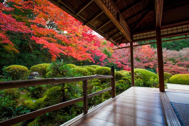 【京都・一乗寺の紅葉さんぽ】洛北の名庭をめぐって、心に染み入るしっとり静かな秋を♪