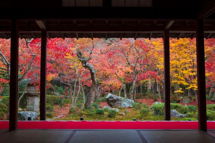 【京都・一乗寺の紅葉さんぽ】洛北の名庭をめぐって、心に染み入るしっとり静かな秋を♪