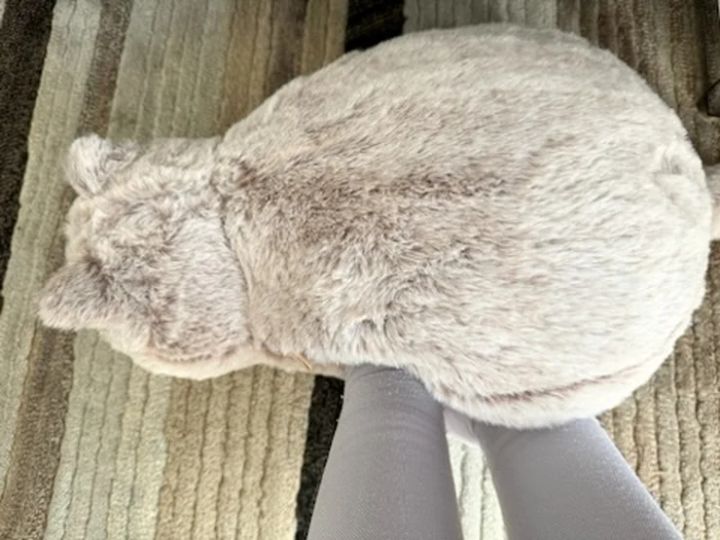 温活 自宅 仕事 蓄熱式 電気湯たんぽ にゃたんぽmottole 実際に試してみた 2