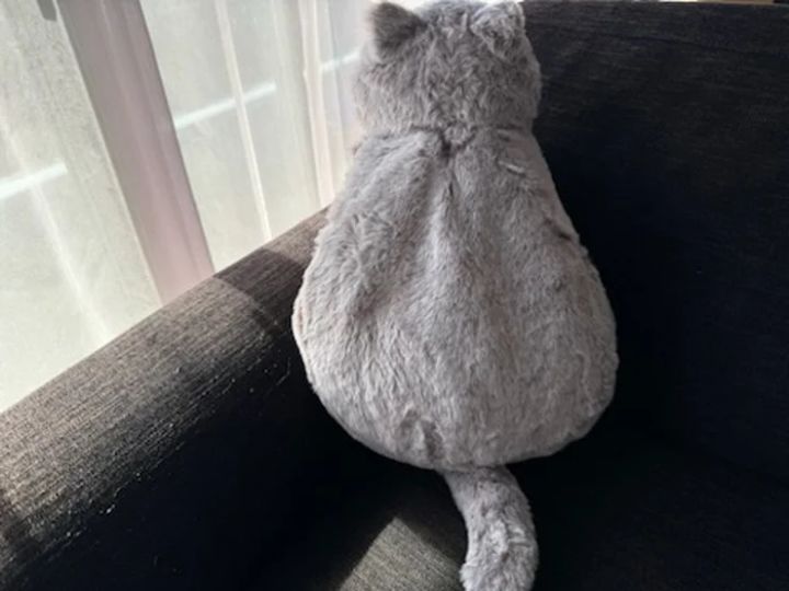 温活 自宅 仕事 蓄熱式 電気湯たんぽ にゃたんぽmottole 実際に試してみた 