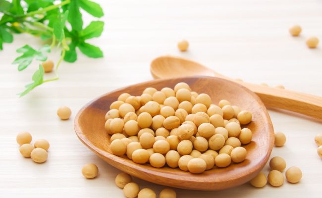 大豆のイメージ