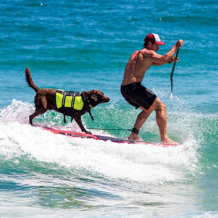 パーソナルトレーナーのイヴァン・モレイラと愛犬Bono