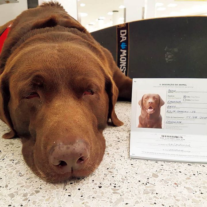 パーソナルトレーナーのイヴァン・モレイラの愛犬Bono