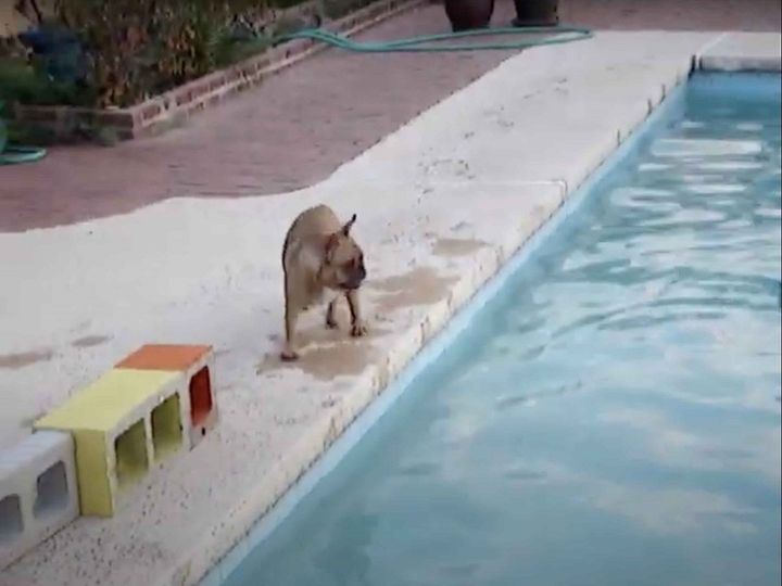 この後、驚きの行動に…！