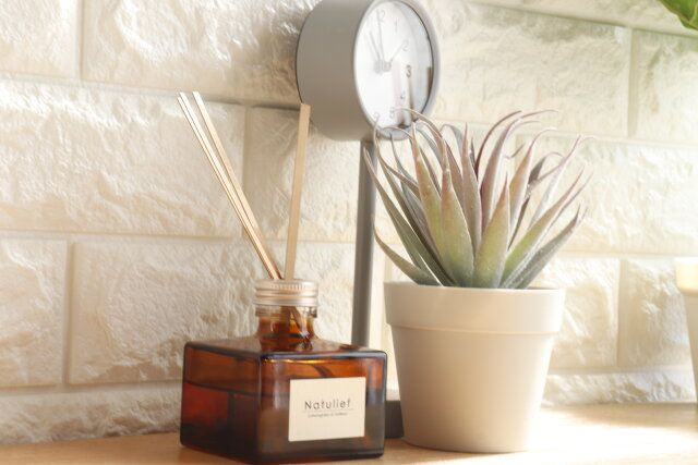 スリーコインズのお洒落なミニフェイクグリーン