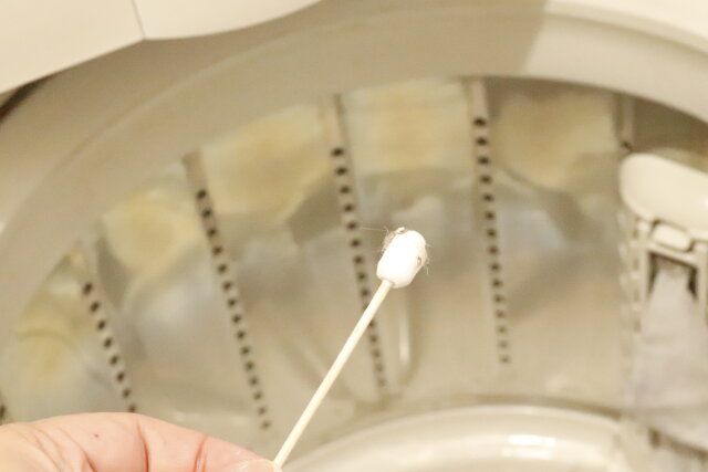 セリアのすきま掃除用綿棒の使用例