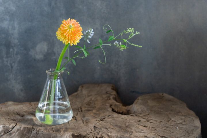 江戸時代後期の蔵の中にオープン♪立川の人気の花屋さん「蔵の花屋 コトハ」