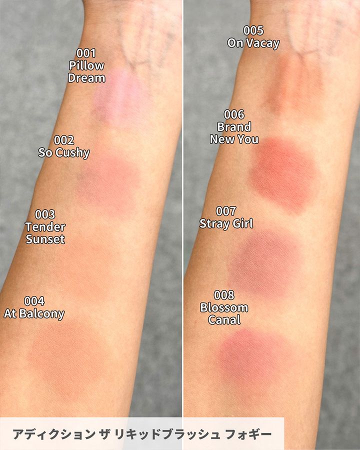 アディクション ザ リキッドブラッシュ フォギー