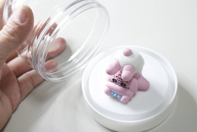 ダイソー ドーム型ケース 小物