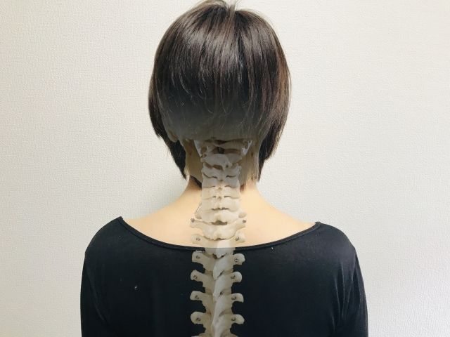 背骨や肩