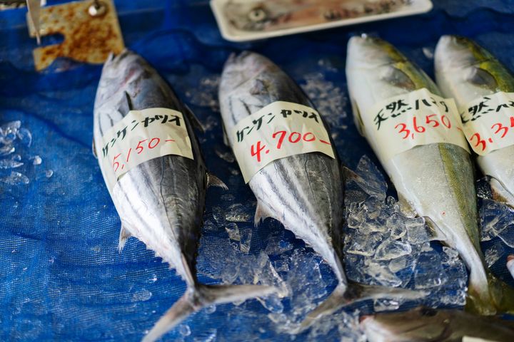 カツオ、マグロなどの鮮魚