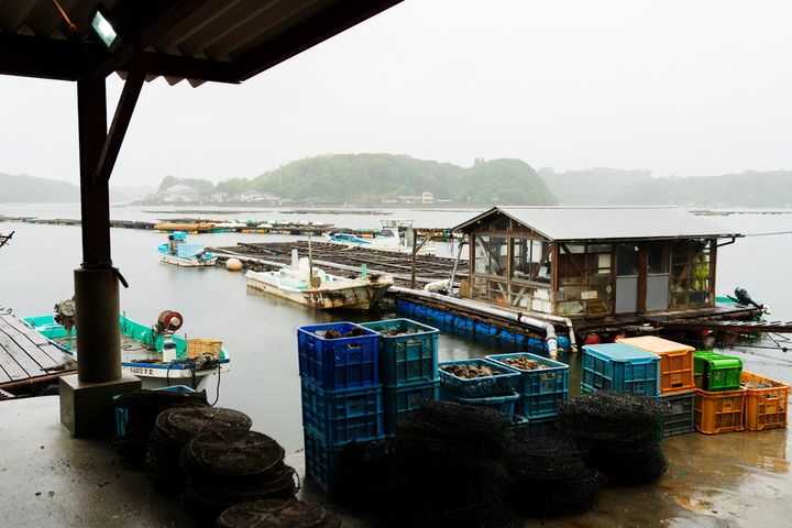 〈的矢かきテラス〉の養殖筏