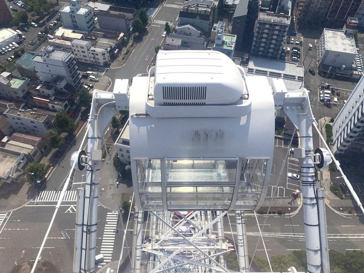 出会ったらラッキー！食べられたら幸せ！大阪名物もちもちおこわ「とん蝶」【旅するデザイナーがおすすめするお土産たち！】