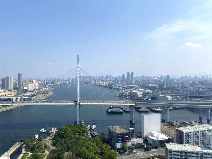 出会ったらラッキー！食べられたら幸せ！大阪名物もちもちおこわ「とん蝶」【旅するデザイナーがおすすめするお土産たち！】