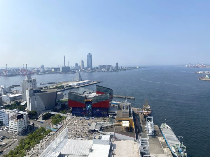 出会ったらラッキー！食べられたら幸せ！大阪名物もちもちおこわ「とん蝶」【旅するデザイナーがおすすめするお土産たち！】