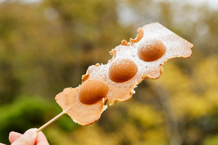 大阪・万博記念公園にある「ノイカフェ 万博入口前店」で名物の焼きたてカステラを♪