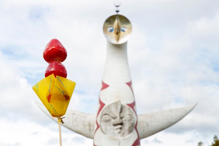 大阪・万博記念公園にある「ノイカフェ 万博入口前店」で名物の焼きたてカステラを♪