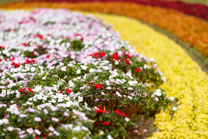 大阪・万博記念公園にある「ノイカフェ 万博入口前店」で名物の焼きたてカステラを♪