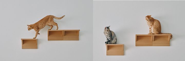 俺たちの無印良品が猫に対応、公式シンプル猫グッズを発表