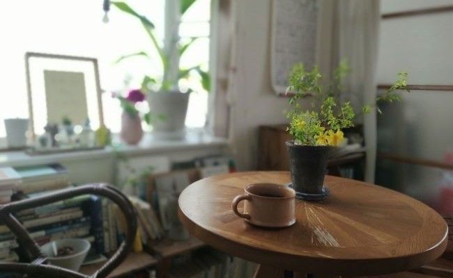 テーブルの上に置かれた花とコーヒー