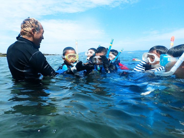 シュノーケリング（スノーケリング）体験