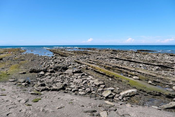 西の浜辺は磯遊びに最適