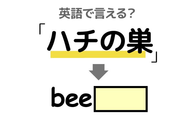 英語で【ハチの巣】は何て言う？「ハチの巣を取る」などの英語もご紹介