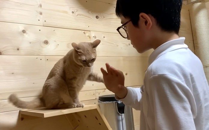 お兄ちゃんと猫