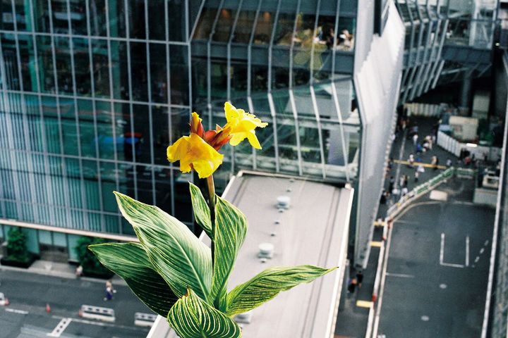 アーティスト・戸田沙也加の作品