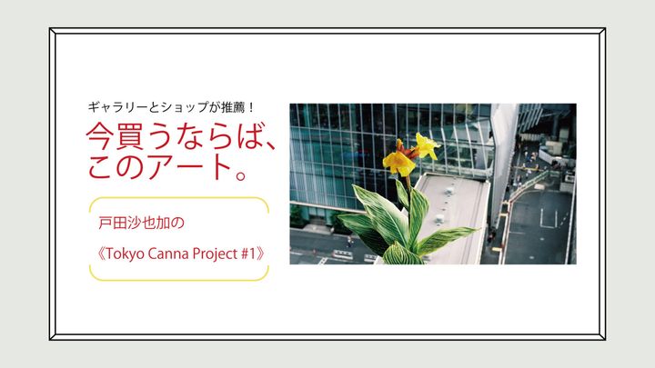 アーティスト・戸田沙也加の作品
