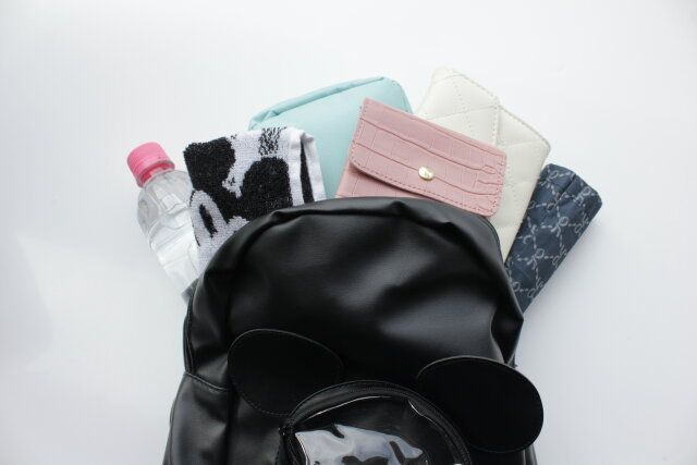 ダイソー ミニリュック（ミッキーアイコン） 収納力