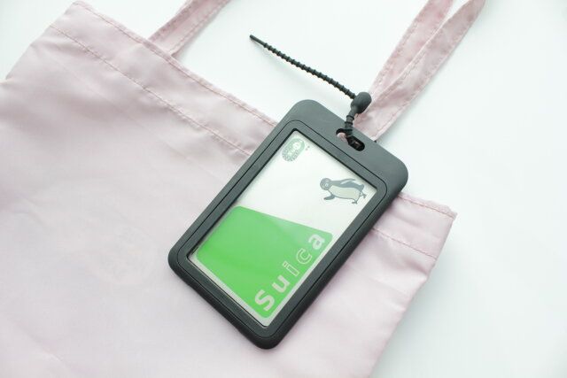 ダイソー カードホルダー（ベーシック） 使用例