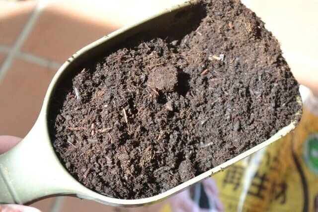 ダイソー 古い土の再生材（1.5L）