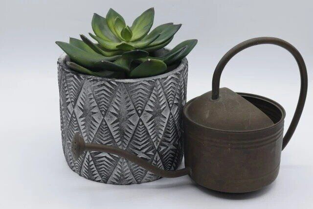 ダイソー セメント植木鉢（5号、15cm、アメリカン風） 使用例