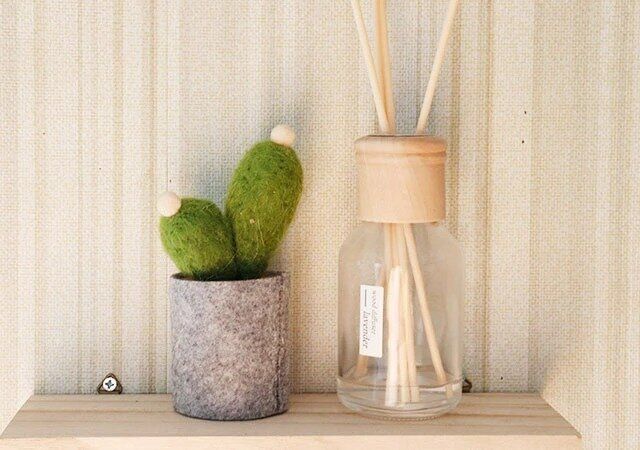 ダイソー フェルトサボテン（ミニ）