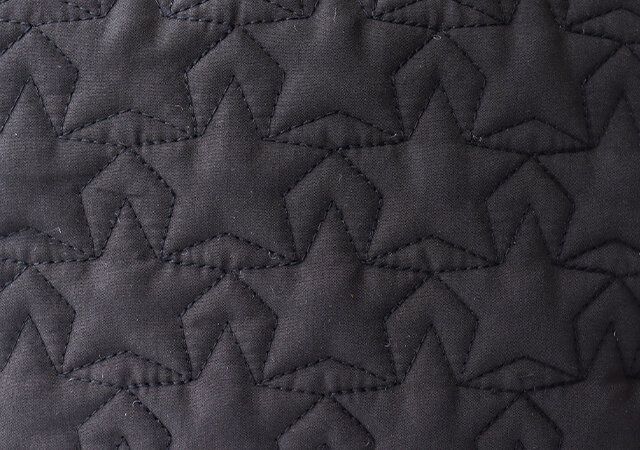 スケープ オブ グリーンスターキルティングバッグ付録レビュー星型