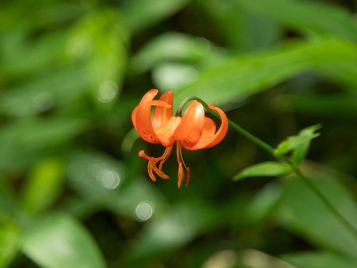 ポジティブになれる山歩きは、アークテリクスとともに【黒斑山での登山を初心者がレポート】