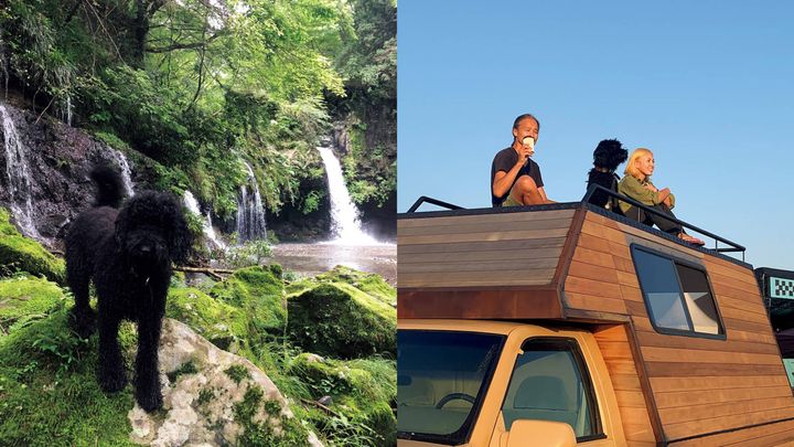 スタイリスト・加藤將夫婦と愛犬シーア