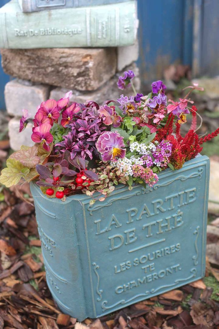 パンジー＆ビオラの寄せ植え