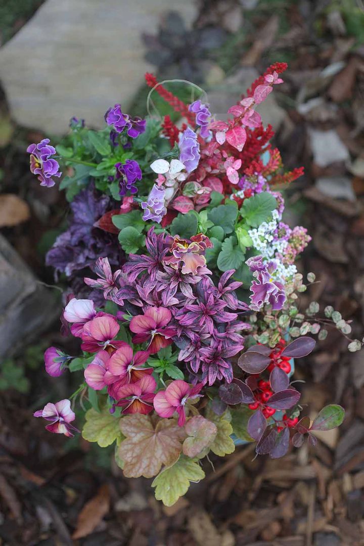 パンジー＆ビオラの寄せ植え