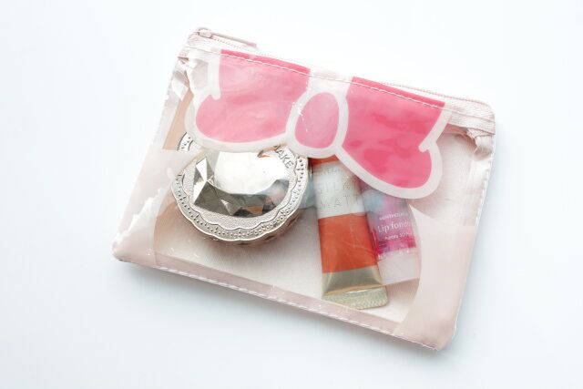 ダイソー フラットポーチ（ミニーアイコン） 収納力